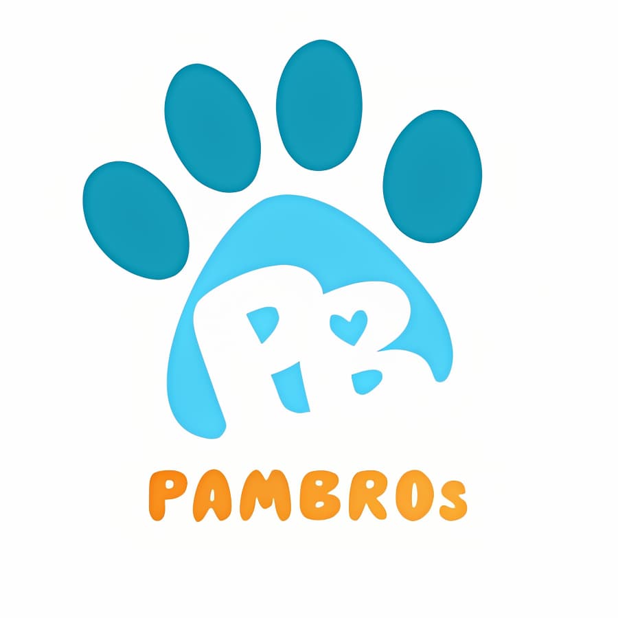 Custom image